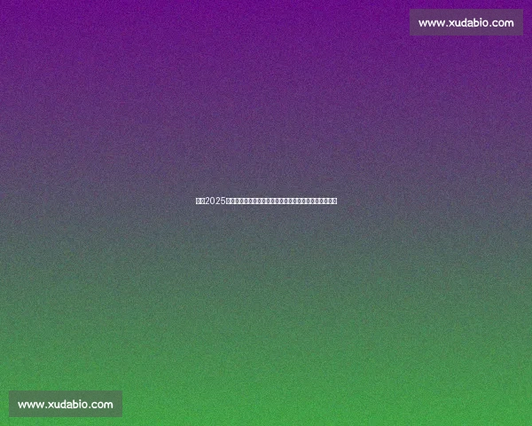 聚焦2025足球亚洲杯预选赛赛程解析与各队晋级前景全面观察走势