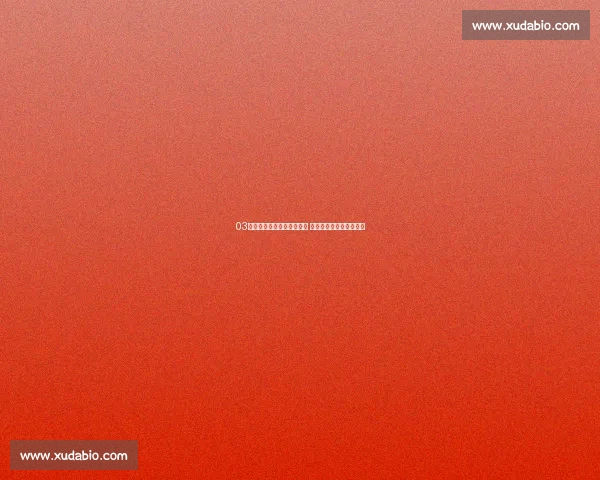 03年尤文图斯阵容回顾与分析 如何走向辉煌的黄金时代