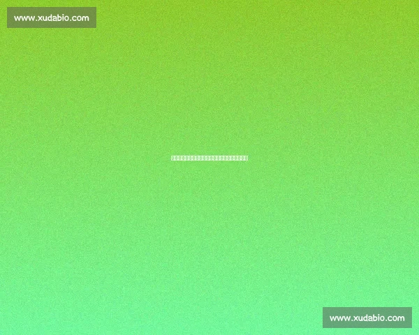 英超圣诞赛程突变:百年传统暂停背后的多重博弈 英超圣诞赛程突变:百年传统暂停背后的多重博弈